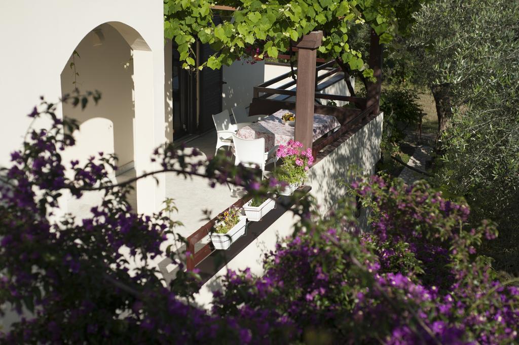 Gregovic Family Apartments Petrovac 外观 照片