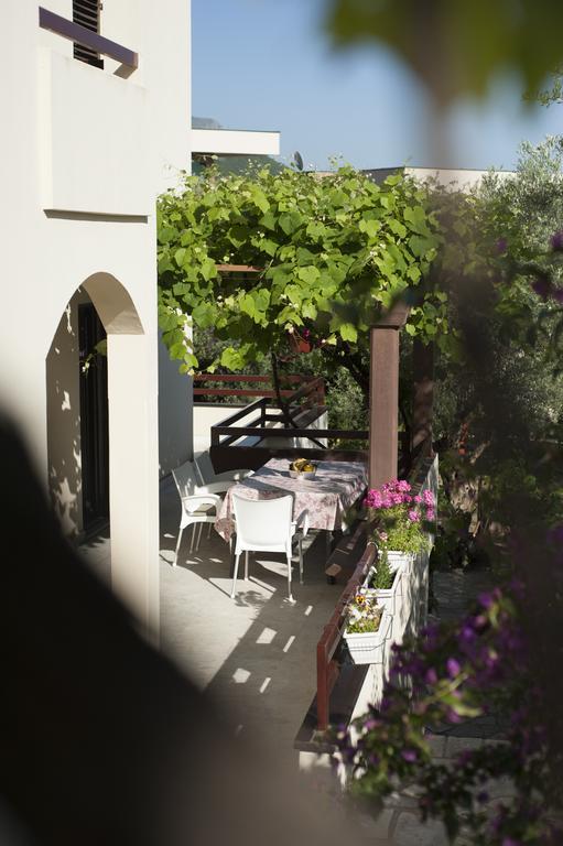 Gregovic Family Apartments Petrovac 外观 照片
