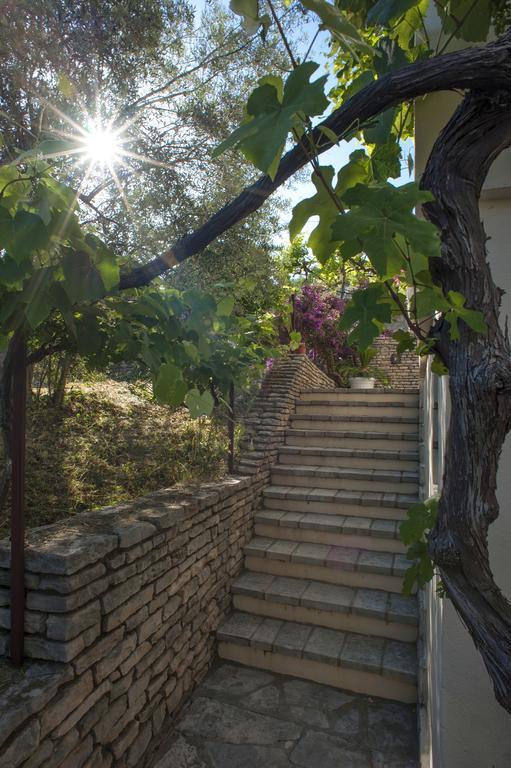 Gregovic Family Apartments Petrovac 外观 照片