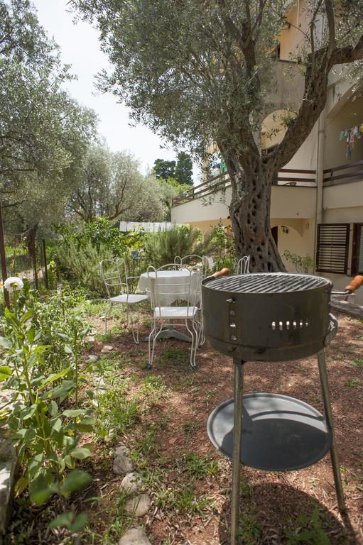 Gregovic Family Apartments Petrovac 外观 照片