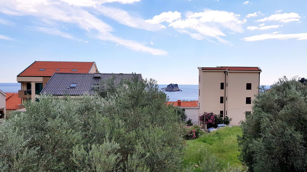 Gregovic Family Apartments Petrovac 外观 照片