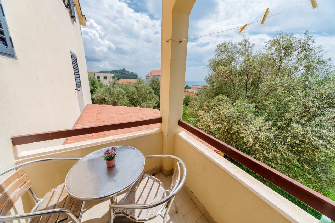 Gregovic Family Apartments Petrovac 外观 照片