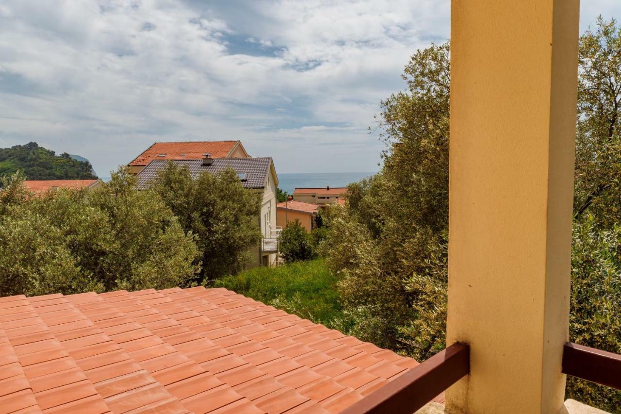 Gregovic Family Apartments Petrovac 外观 照片